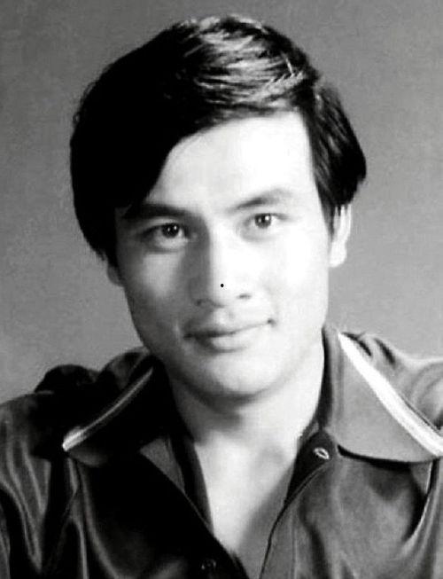 明星林强,星光璀璨的演艺人生